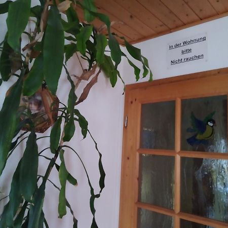 Ferienwohnung Steinbauer Opfenbach Екстер'єр фото